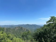 -大岭沟猕猴桃谷风景区