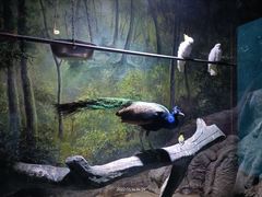 -多彩贵州城极地海洋世界