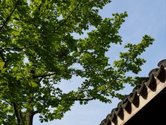 -惠山古镇·寄畅园