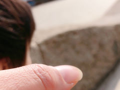 -海上田园