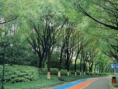-桐乡植物园