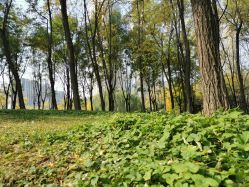 -大望京儿童游乐场