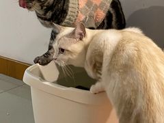 -佳雯宠物医院(四明中路分院)