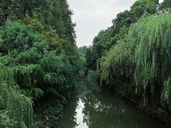 -同里国家湿地公园