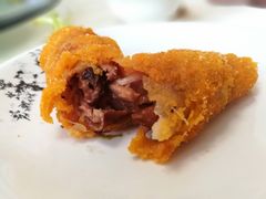 -丁老爷子苏香圆