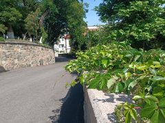 -烟台山景区