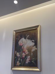 -天津伊美尔医疗整形美容专科医院