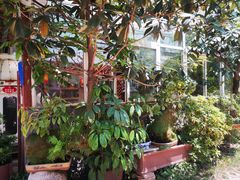 -蜜蜂园花园餐厅
