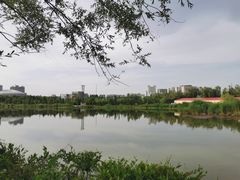 -伊犁河风景区