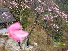 -九皇山景区