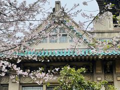 -武汉大学-樱园