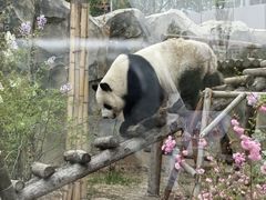 -青藏高原野生动物园