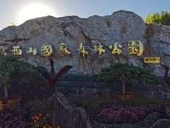 -北京西山国家森林公园