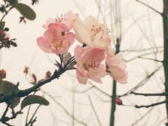-眉山湿地公园(东坡区)