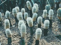 -南山植物园