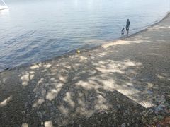 -阳宗海湿地