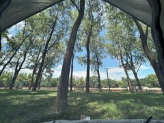 -森林公园(尖草坪区)