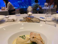 -迪拜帆船酒店海底餐厅