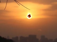 -呈贡滇池生态湿地公园