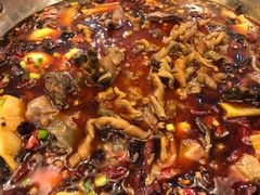 -黑竹香鸡(营和巷店)