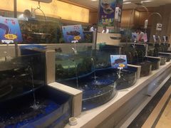 水产区-海景壹号大酒店(滨湖店)