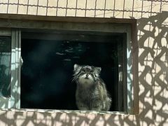 -青藏高原野生动物园