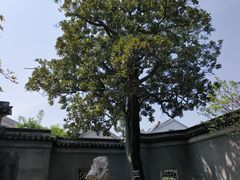 -木渎古镇