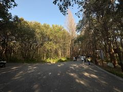 -同里国家湿地公园