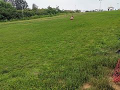 -北戴河集发农业梦想王国