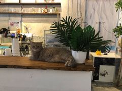 -MIMO CAFE(沙头角店)