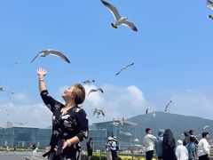 -星海广场