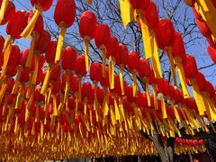 -护国法轮寺