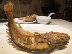 古法干煎小黄鱼-玫瑰厅上海菜(兴国路店)