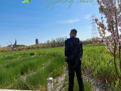 -永定河休闲森林公园