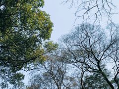 -杭州植物园
