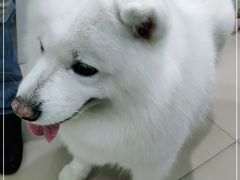 -佳雯宠物医院(金华南路分院)