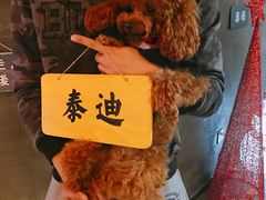 -CIAO·团建聚餐·生日派对轰趴馆(福田店)