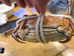 -品鲜村农家菜·阳澄湖大闸蟹(总店)