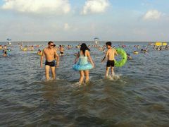 -碧海金沙