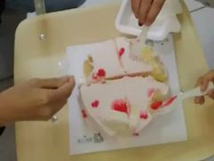 -维尔纳斯·生日蛋糕动物奶油冰淇淋蛋糕(人大店)