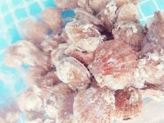 -必点蒸汽海鲜(止锚湾店)