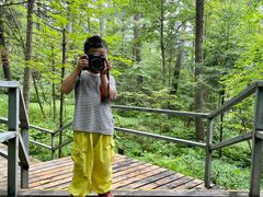 -五营红松林海景区