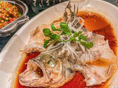 -樽宴酒楼·地道川菜·品质宴请