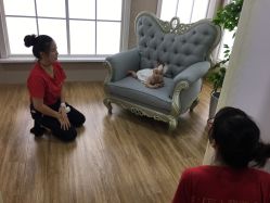 -芳妮豆丁家庭影像馆(宝安店)
