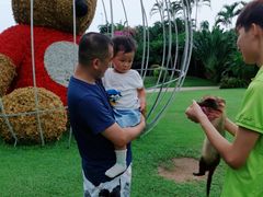 -三亚亚龙湾天域度假酒店