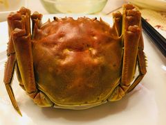 -王宝和酒家(黄浦店)