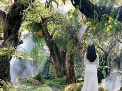 -Chom Cafe and Restaurant