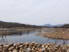 -佛手湖郊野公园