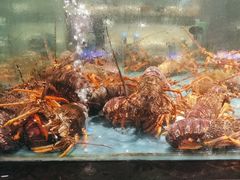 -龙宴海鲜城(经中路店)