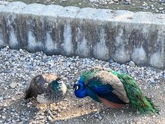 -南京金牛湖风景区